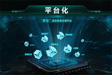 睿治數(shù)據(jù)治理