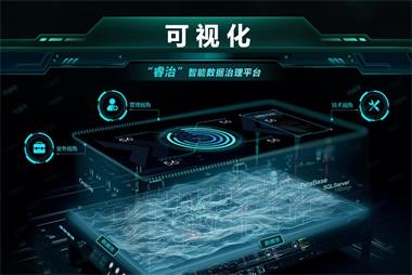 睿治數(shù)據(jù)治理