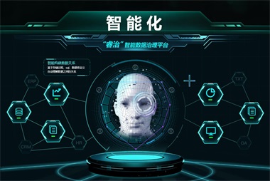 睿治數(shù)據(jù)治理