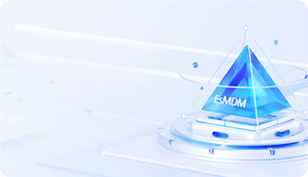 主數(shù)據(jù)管理平臺(tái)