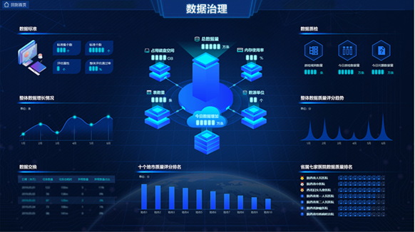 智能數(shù)據(jù)治理平臺-衛(wèi)生應(yīng)用案例